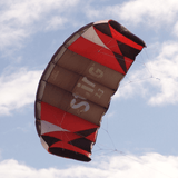 Sting 4 line Power Kite